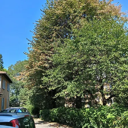 Apartmán Gabbinoholidayhome In Suggestiva Corte Como